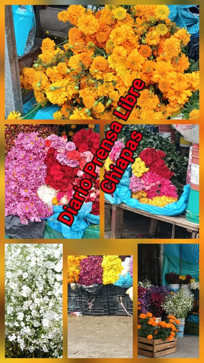 Inicia la venta de flores para mantener viva la tradición del Día de Muertos