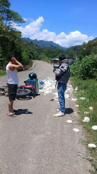Piden multa tras accidente de repartidor en Chenalh&oacute;