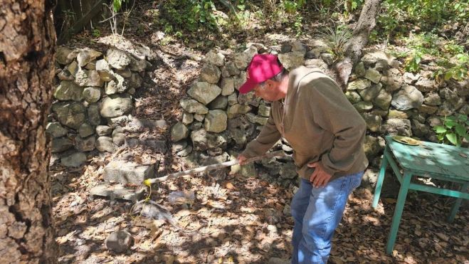 Autoridades rescatan tlacuache herido en la zona de Las Canastas