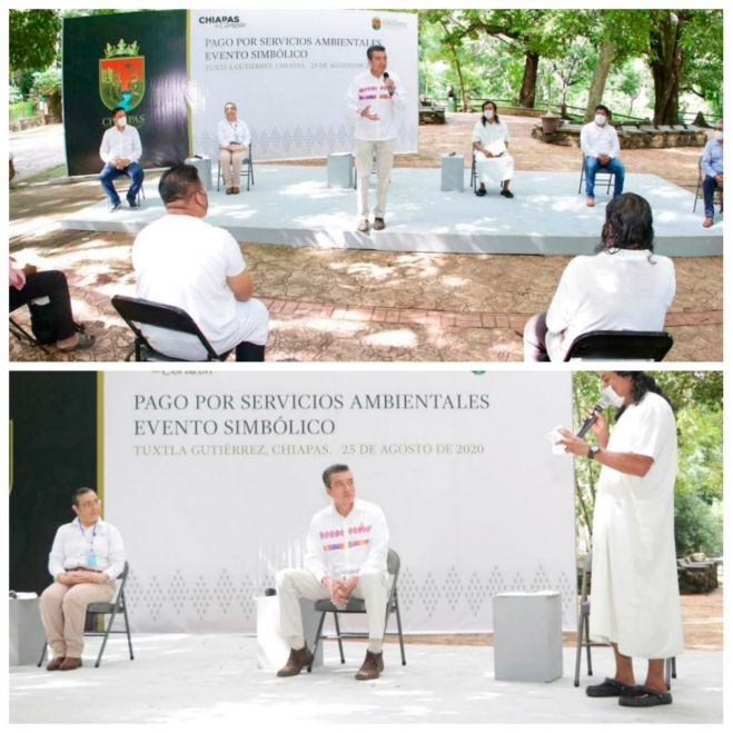 CON PAGO POR SERVICIOS AMBIENTALES, CHIAPAS DEFIENDE SU ENTORNO NATURAL: RUTILIO ESCANDÓN