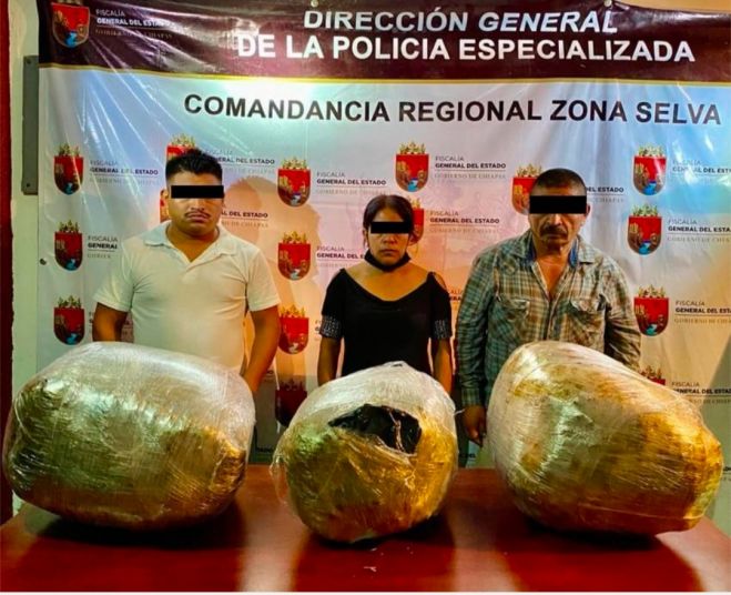 Decomisa FGE 25 kilogramos de marihuana en la Región Selva de Chiapas
