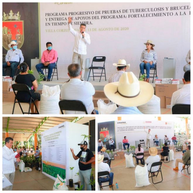 BENEFICIA RUTILIO ESCAND&Oacute;N A SECTORES GANADERO Y AGR&Iacute;COLA DE VILLA CORZO