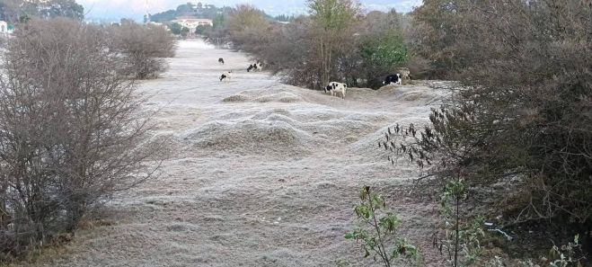 Emiten recomendaciones ante descenso de temperatura en SCLC