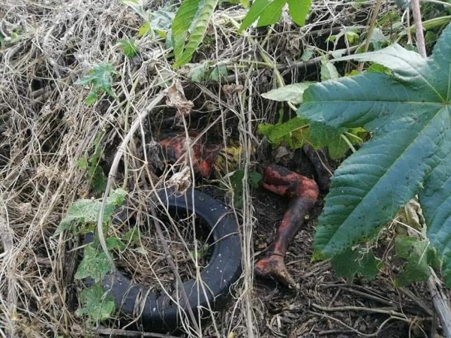 Encuentran en estado de putrefacción el cuerpo de una persona a orillas del río en SC