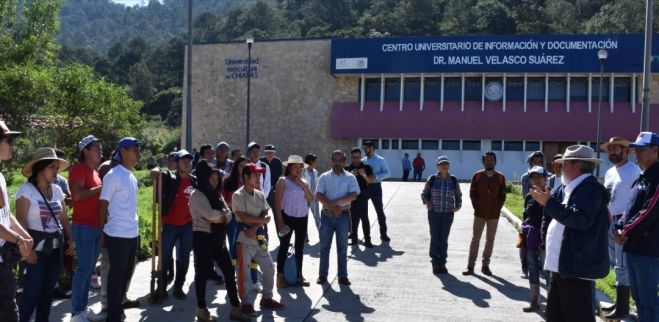 Reforestan en la Unich en el Día Mundial del Medio Ambiente