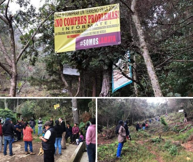 No permitirán más ecocidios que dañen uno de los pulmones de San Cristóbal.