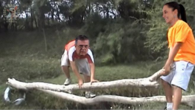Después de la victoria de Claudia Sheinbaum, algunos internautas compartieron sus reacciones en forma de memes.