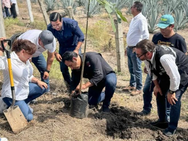 Impulsa Eduardo Ramírez campaña para reforestar 100 mil hectáreas en Chiapas*
