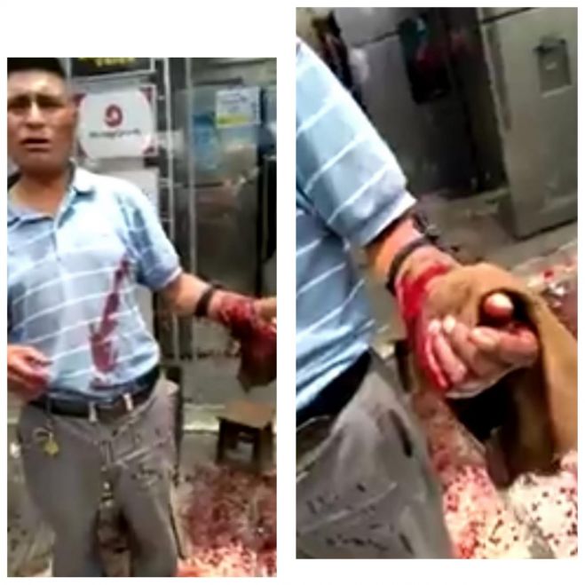 UN LESIONADO DEJA ASALTO EN EL MERCADO DE SAN CRIST&Oacute;BAL 