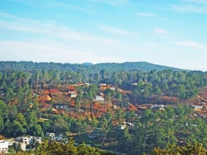 Advierten sobre una nueva invasión en reserva ecológica