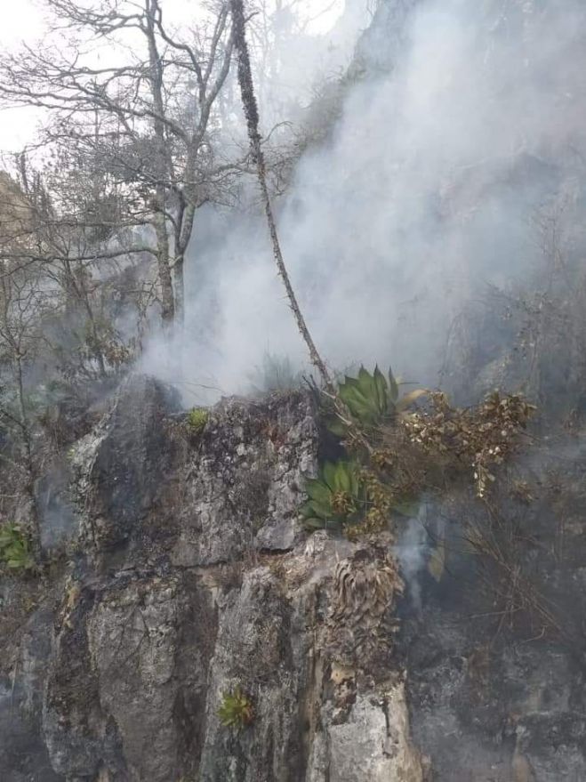 Varios incendios forestales se registran en la periferia de San Crist&oacute;bal