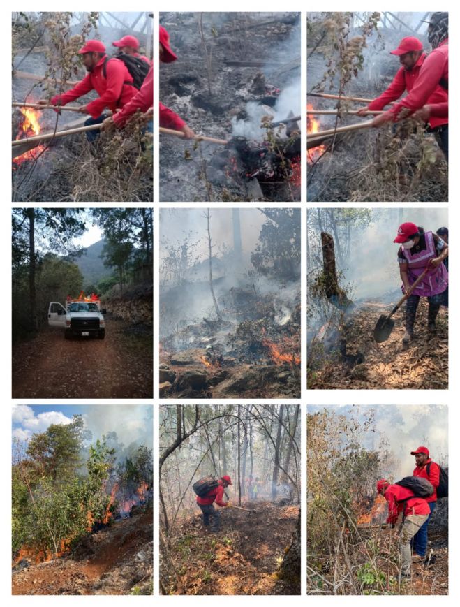 Ante las condiciones climáticas adversas, recomienda a los vecinos de dichas colonias mantener la vigilancia y dar aviso a las autoridades correspondientes y exhortaron a los habitantes de evitar caer en pánico y no realizar ningún tipo de actividad al aire libre donde hagan uso del fuego.