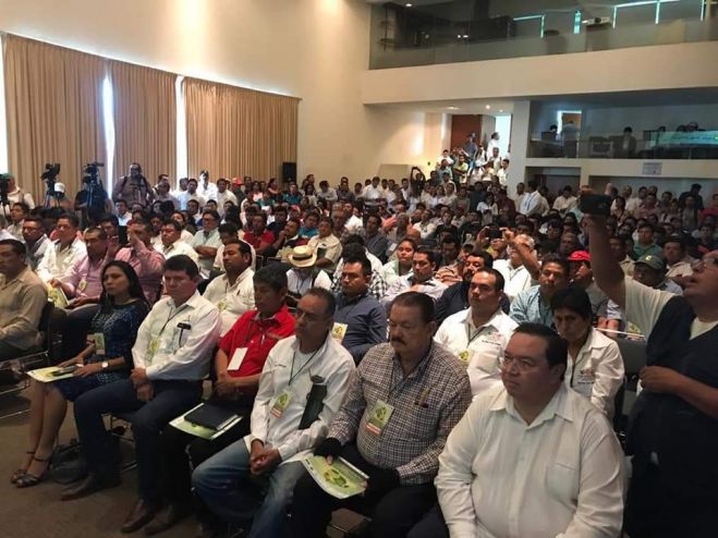Un éxito el II Foro Nacional del Sistema Producto Limón Persa