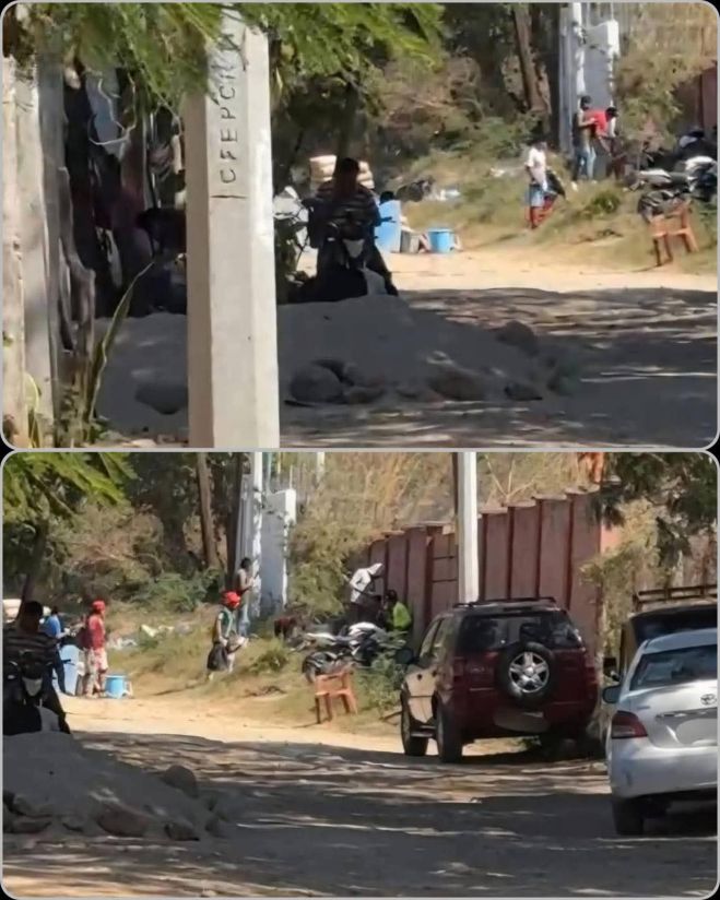 Tragedia en Chiapa de Corzo: un adolescente pierde la vida mientras ayudaba a su padre