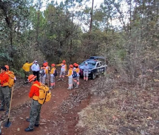 Refuerzan prevención de incendios con brechas cortafuego en Teopisca
