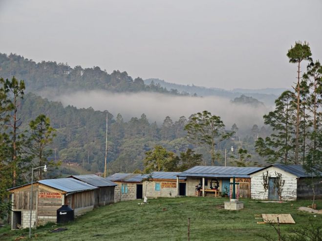 Denuncian violencia y hostigamiento hacia comunidades autónomas zapatistas