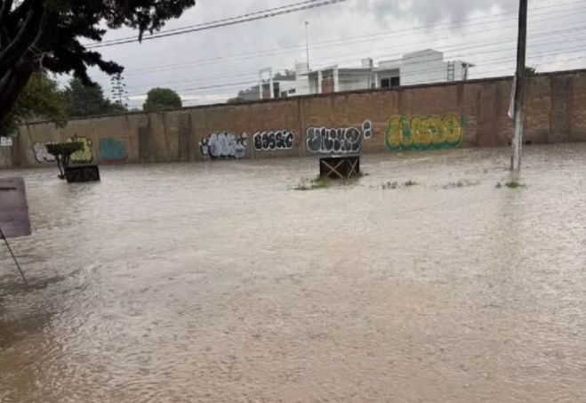Lluvia intensa provoca inundaciones y caída de árbol en SCLC