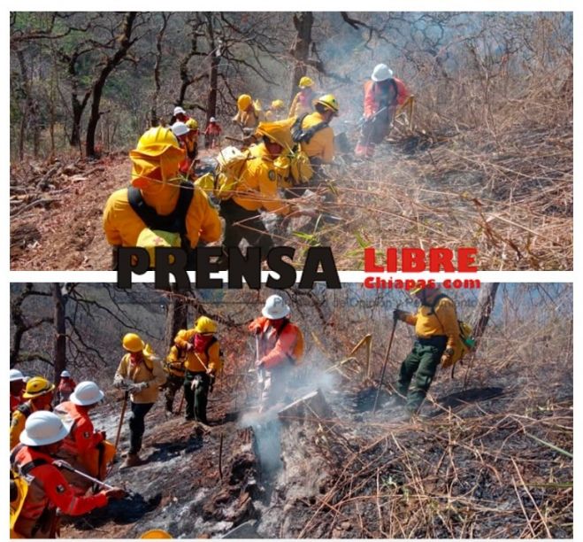 Gobierno de Chiapas hace llamado a evitar sanciones por provocar incendios