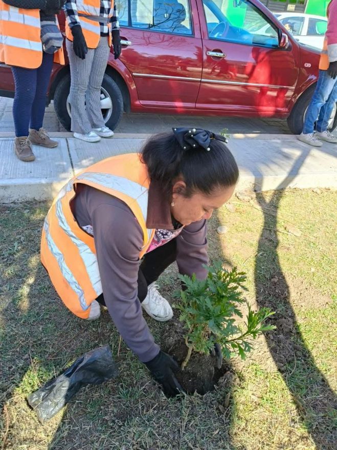 Gobierno Municipal refuerza embellecimiento de parques y jardines en San Crist&oacute;bal