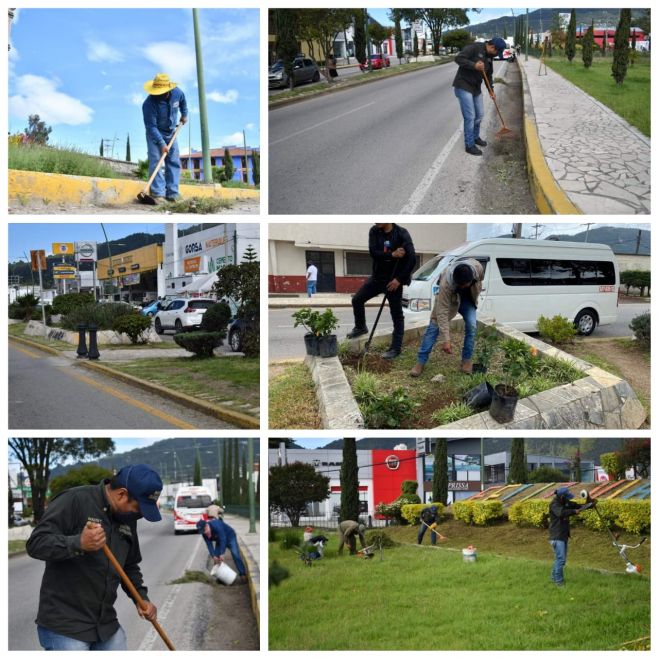AYUNTAMIENTO DE SAN CRISTÓBAL REALIZA MANTENIMIENTO EN CAMELLONES Y JARDINES DEL BOULEVARD JUAN SABINES