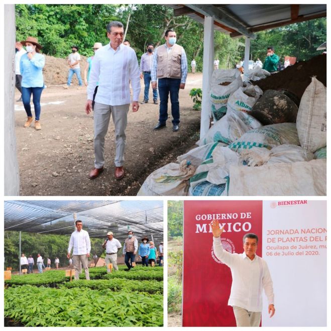 DESTACA RUTILIO ESCANDÓN BENEFICIOS DEL PROGRAMA SEMBRANDO VIDA PARA CHIAPAS