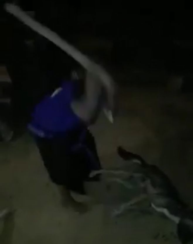 Dos personas indígenas los golpean cruelmente hasta matarlos.