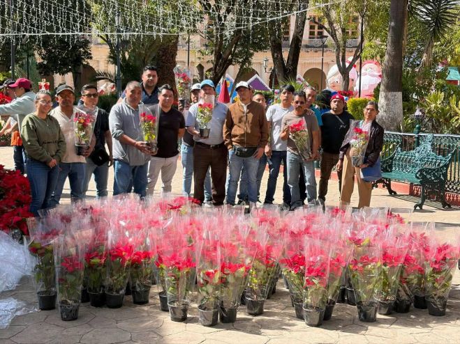 Artesanas y artesanos donan más de 400 nochebuenas para embellecer espacios públicos de San Cristóbal