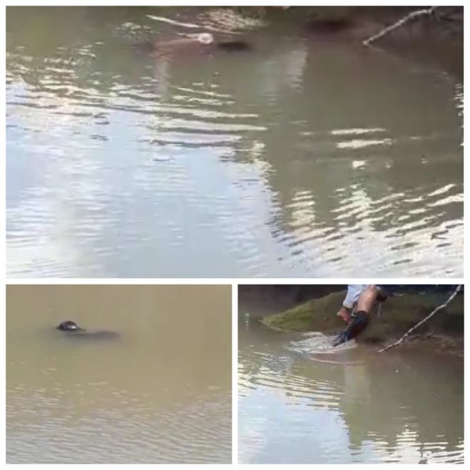 MUEREN AHOGADOS  EN UNA LAGUNA DE CHAMULA